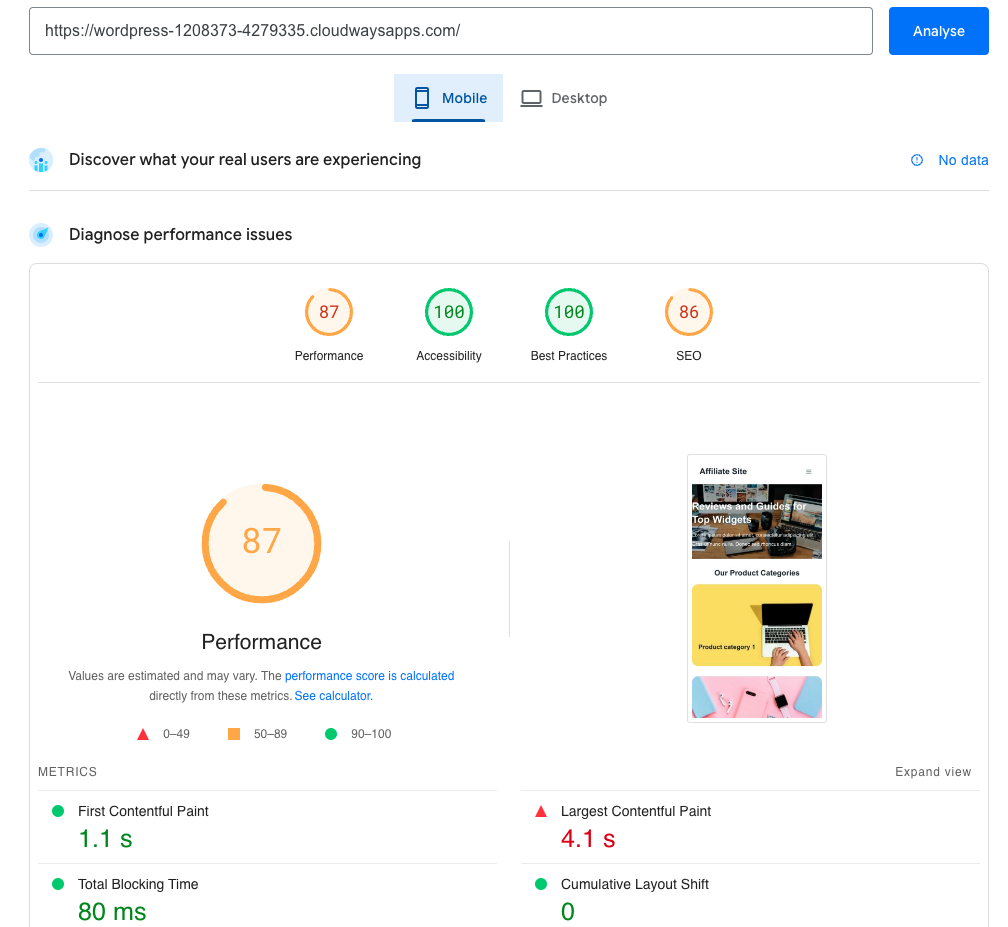 PageSpeed Cloudways score.